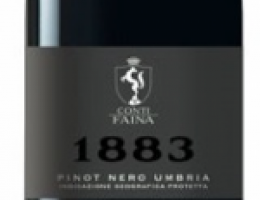 Immagine 1 di 1883 PINOT NERO UMBRIA I.G.P.