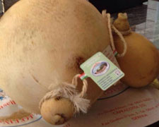 Immagine 1 di CACIOCAVALLO MACCHIONE CASEIFICIO PALLOTTA