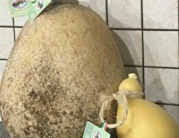 Immagine 3 di CACIOCAVALLO MACCHIONE CASEIFICIO PALLOTTA