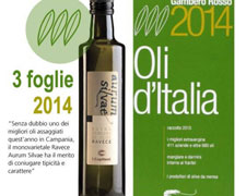 Immagine 1 di OLIO EXTRA VERGINE DI OLIVA CULTIVAR RAVECE QUALITA' SUPERIORE