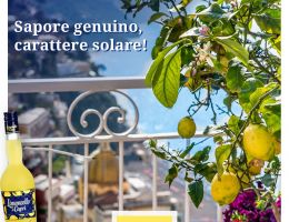 Immagine 5 di LIMONCELLO DI CAPRI I.G.P. L'ORIGIANALE