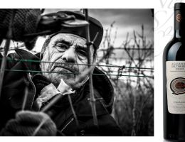 Immagine 5 di AGLIANICO DEL TABURNIO RISERVA D.O.C.G. D'ERASMO