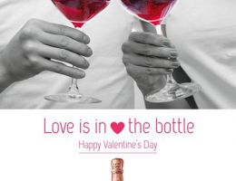 Immagine 1 di MALVASIA BRUT ROSE' DI CASTEL NUOVO DON BOSCO D.O.C.  BAVA VINI