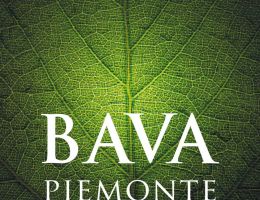 Immagine 2 di MALVASIA BRUT ROSE' DI CASTEL NUOVO DON BOSCO D.O.C.  BAVA VINI