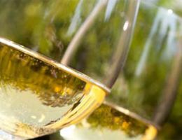 Immagine 2 di ETNA  CARRICANTE BIANCO SUPERIORE D.O.C.