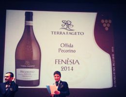 Immagine 2 di OFFIDA PECORINO D.O.C.G. FENESIA BIOLOGICO