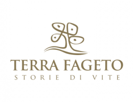 Immagine 4 di OFFIDA PECORINO D.O.C.G. FENESIA BIOLOGICO