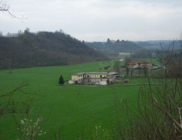 Immagine 4 di MOZZARELLA DI BUFALA CASEIFICIO FACCHI