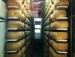 Immagine 4 di TRENTINGRANA D.O.P. CASEIFIICIO PRESANELLA DI MEZZANA