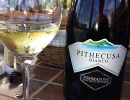 Immagine 2 di PITHECUSA BIANCO EPOMEO I.G.P