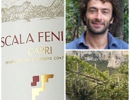 Immagine 1 di CAPRI BIANCO D.O.C. SCALA FENICIA