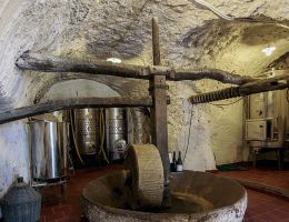 Immagine 4 di CAPRI BIANCO D.O.C. SCALA FENICIA