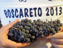 Immagine 2 di BAROLO D.O.C.G. BOSCARETO PRINCIPIANO FERDINANDO VINI