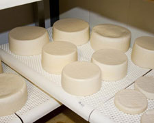 Immagine 1 di TOMA DEL VARESOTTO AGRI VALLINI CLAUDIO