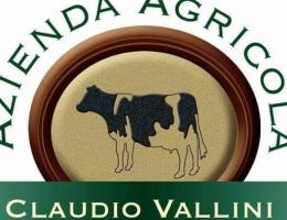 Immagine 2 di TOMA DEL VARESOTTO AGRI VALLINI CLAUDIO
