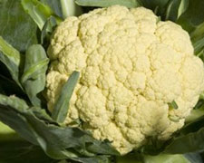 Immagine 1 di BROCCOLO DI TORBOLE  AGRICOLA ALDO ROSA'