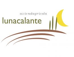 Immagine 2 di FAGIOLO DI CASALBUONO