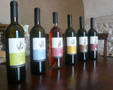 Immagine 3 di SANNIO SCIASCINOSO D.O.C. ROSSO SCIASCI'