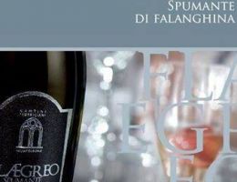 Immagine 2 di CAMPI FLEGREI SPUMANTE DI FALANGHINA D.O.C. FLAEGREO