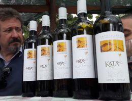 Immagine 1 di CATALANESCA DEL MONTE SOMMA I.G.P. KATA'