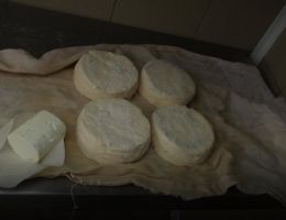 Immagine 1 di TUMA DI PECORA DELLE LANGHE CASEIFICIO  PASCOLI DI AMALTEA