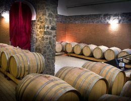 Immagine 2 di VESUBIO ROSSO D.O.C.