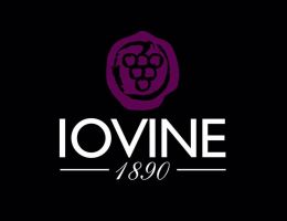 Immagine 2 di GRAGNANO ROSSO FRIZZANTE D.O.C.