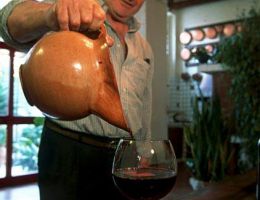 Immagine 5 di FALERNO DEL MASSICO D.O.C. CAMPANTUONO