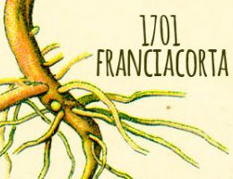 Immagine 5 di FRANCIACORTA 1701 BLANC DE BLANCS SATEN
