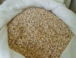 Immagine 1 di CICERCHIA DI CASTELVECCHIO CALVISIO