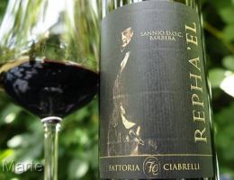 Immagine 2 di SANNIO BARBERA D.O.C. REPHA'EL