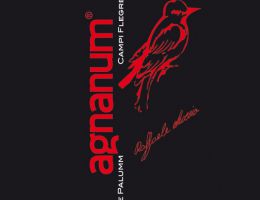 Immagine 1 di CAMPI FLREGREI PER'E PALUMM D.O.C.