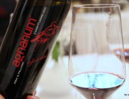 Immagine 2 di CAMPI FLREGREI PER'E PALUMM D.O.C.