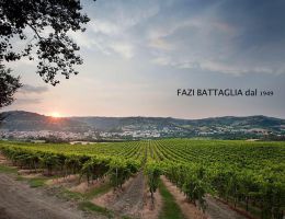 Immagine 3 di VERDICCHIO DEI CASTELLI DI JESI RISERVA D.O.C.G. SAN SISTO