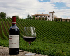 Immagine 1 di TAURASI RISERVA D.O.C.G. VIGNA QUINTODECIMO