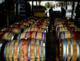 Immagine 3 di MACÉRE [BIO] DEL SANNIO D.O.P. TABURNO