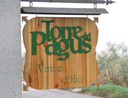 Immagine 5 di MACÉRE [BIO] DEL SANNIO D.O.P. TABURNO