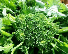 Immagine 1 di Broccolo  di Paternopoli