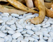 Immagine 1 di PIATTELLA CANAVESANA DI CORTEREGGIO AGRI IVANO REAN CONTO