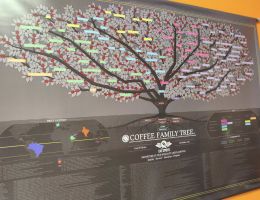 Immagine 5 di ARABICA MISCELA  A TORREFAZIONE NOALITO