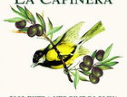 Immagine 3 di OLIO EXTRAVERGINE DI OLIVA BLEND DI QUALITA' SUPERIORE