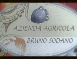 Immagine 2 di FAGIOLO CANNELLINO DENTE DI MORTO DI ACERRA