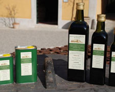 Immagine 1 di OLIO EXTRAVERGINE DI OLIVA CULTIVAR FRANTOIANO CHIARENTANA ALTA QUALITA'