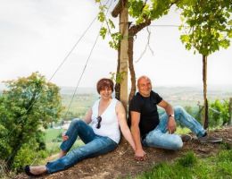 Immagine 1 di CUSTOZA D.O.C.