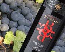 Immagine 1 di CABERNET FRANC VENEZIA D.O.C.