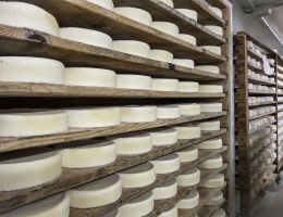 Immagine 4 di FORMAGGELLA DI MONTE CASEIFICIO VALSABBINO