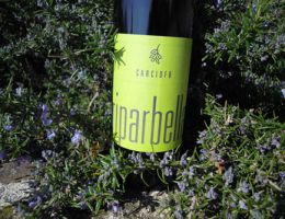 Immagine 2 di OLIO EXTRAVERGINE DI OLIVA MONOCULTIVAR MAURINO