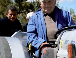 Immagine 2 di OLIO EXTRAVERGINE DI OLIVA I.G.P. TOSCANO COLLINE DI FIRENZE