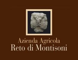 Immagine 5 di OLIO EXTRAVERGINE DI OLIVA I.G.P. TOSCANO COLLINE DI FIRENZE