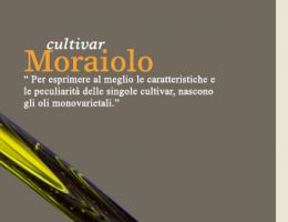 Immagine 2 di OLIO EXTRAVERGINE DI OLIVA CULTIVAR MORAIOLO ALTA QUALITA'